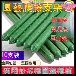 【宅配免運】園藝花架管 花盆支撐桿 固定支柱 爬藤支架 包塑鋼管 爬藤架 花架陽臺落地式 植物架 花器 花架