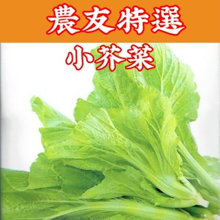 小芥菜【農友種苗】農友種苗 小芥菜(特選種子) 蔬菜種子 每包約12公克(g) 保證新鮮種子