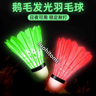 夜光羽毛球鵝毛防風耐打室內外訓練尼龍塑膠夜間熒光燈發光羽毛球
