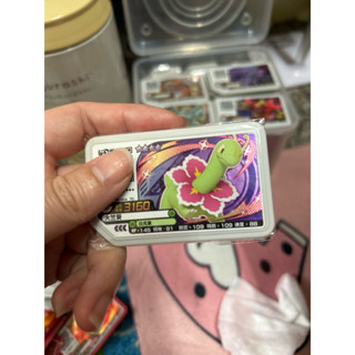 寶可夢 加傲樂 卡匣 大竺葵 四星 機臺下卡變現給小孩繼續玩售出無退換，謝謝