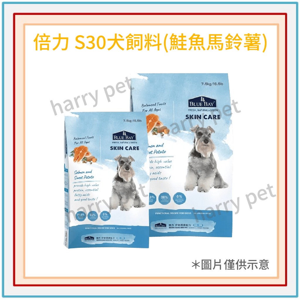 ┌哈利寵物┐Blue Bay 倍力 S30 鮭魚+馬鈴薯  三種尺寸