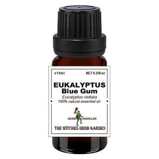 【女巫藥草園】藍膠尤加利精油 / Eucalyptus Blue Gum oil / 喬夏嚴選最高品質精油