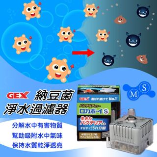 呆呆水族~GEX納豆菌淨水過濾器(搭配打氣機)水中過濾器 氣動式過濾 水妖精 濾水器 除臭 去水色 白棉濾材