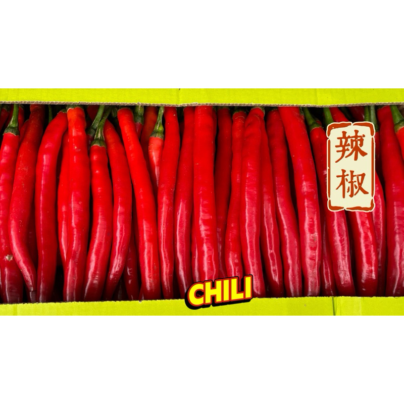 小農自產自銷🌶️長辣椒🌶️紅辣椒🥇 CABE MERAH BESAR 🏷️LOMBOK ABANG⚠️產期結束停止下單