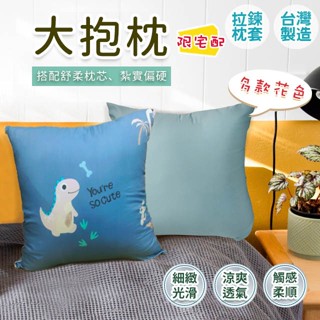 大抱枕 50 x 50cm 萊賽爾材質 紮實偏硬款 臺灣製造 可拆洗枕套 現貨