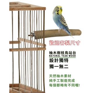 【自然屋精品】 鳥站臺 鸚鵡站臺 鳥棲木 柚木 剝皮樹枝 木站棒 鸚鵡站棒 樹枝 棲木 站棒 展示架 真枯樹 剝皮樹幹