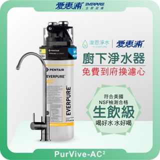 EVERPURE 愛惠浦 AC2 廚下淨水器 ( 淨水器 濾水器 飲水機 濾芯 濾心 過濾器 愛惠普 愛惠浦淨水器 )