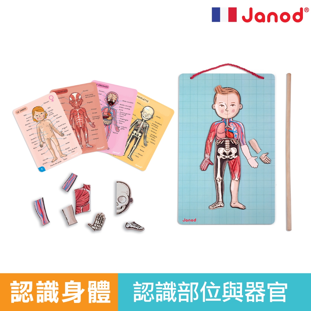法國 Janod 磁鐵遊戲書 安靜書 磁鐵書 磁力安靜書 磁貼書 官方旗艦