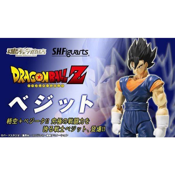 S.H.Figuarts SHF 七龍珠 達洛特 貝吉特 悟空 達爾 魂商店 限定