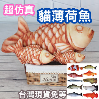 【12HR臺灣出貨】貓薄荷魚 魚 貓玩具 逗貓 逗貓玩具 鯛魚燒 模擬玩具 模擬魚 貓薄荷鯛魚燒 抱枕 鯛魚燒娃娃 發聲