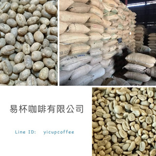 新豆入倉-生豆-夏威夷 可娜