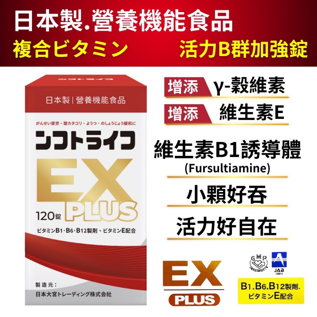 日本製【活力B群 EX PLUS加強錠120錠】小顆好吞 維生素B群 γ穀維素 維生素E  強效B群 日本原裝 增強體力