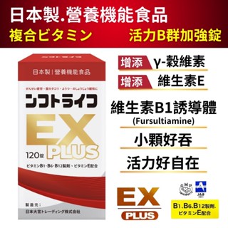 日本製【活力B群 EX PLUS加強錠120錠】小顆好吞 維生素B群 γ穀維素 維生素E 強效B群 日本原裝 增強體力