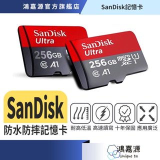 鴻嘉源 SanDisk 防水防摔 C10記憶卡 監視器專用五米延長 五天線監視器 攝影機監控