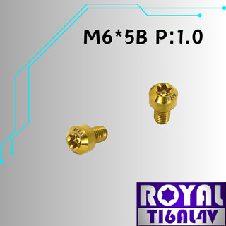 【瘋螺絲】ROYAL 鈦合金螺絲★ M6*5B P:1.0 錐形螺絲★64鈦/正鈦/鈦合金螺絲★出貨附發票 ★土豪金