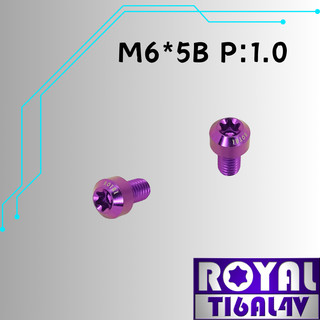【瘋螺絲】ROYAL 鈦合金螺絲★ M6*5B P:1.0 錐形螺絲★64鈦/正鈦/鈦合金螺絲★出貨附發票 ★皇家紫