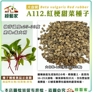 【綠藝家】大包裝A112.紅梗甜菜種子120克(約9200顆)) 葉菜種子 蔬菜種子 苗菜