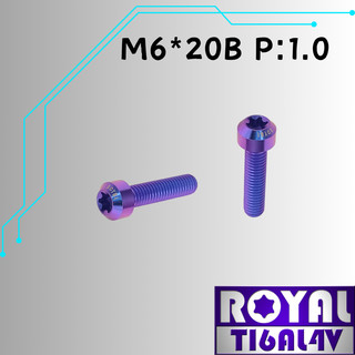 【瘋螺絲】ROYAL 鈦合金螺絲★M6*20B P:1.0 錐形螺絲★64鈦/正鈦/鈦合金螺絲★出貨附發票★幻彩藍