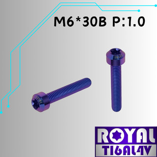 【瘋螺絲】ROYAL 鈦合金螺絲★M6*30B P:1.0 錐形螺絲★64鈦/正鈦/鈦合金螺絲★出貨附發票★幻彩藍