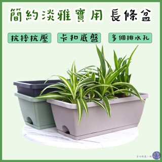 星喵-種菜盆長條霍倫花盆塑膠家庭陽臺種植箱種花蔬菜長方形特大種植槽