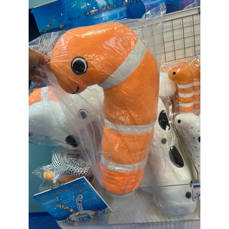 小艾代購 預購 全新 白色 橘色 花園鰻 巨大 娃娃 沖繩 美麗海 水族館 QQ 可愛 抱枕