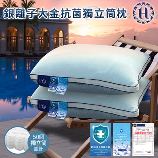 【Hilton 希爾頓】冰淇淋銀離子抗菌獨立筒枕/深淺藍色