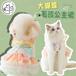 【臺灣現貨】狗狗背心 夏季薄款寵物衣服 夢幻蝴蝶透氣背心彩虹蝴蝶蓬蓬小型犬 貓咪洋裝狗衣服 兩腳衣 貓咪衣服 比熊 透氣