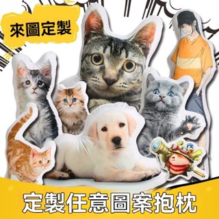 異形客制抱枕來圖客制人形雙面照片創意娃娃卡通公仔玩偶生日禮物 寵物DIY抱枕 寵物紀念品 寵物生日禮物 寵物