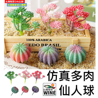 WINE臺灣惟恩 模擬多肉仙人球 迷你多肉植物 多肉植物 彩色模擬多肉 仿真植物 模擬多肉 多肉 植物