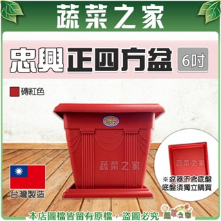 【蔬菜之家滿額免運】忠興6吋正四方盆(可加購水盤) 臺灣製 四方盆 花盆 塑膠花盆 方盆 多肉盆 正方盆 硬盆 底盤