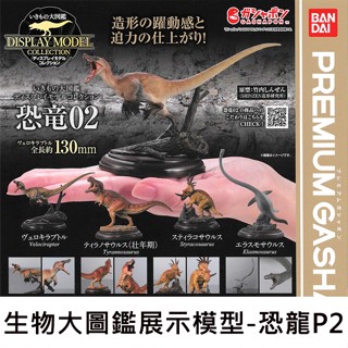 生物大圖鑑 展示模型 恐龍 P2 扭蛋 轉蛋 迅猛龍 暴龍 刺盾角龍 薄板龍 恐龍模型 動物模型 BANDAI 萬代