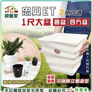 【綠藝家】忠興ET圓盆、四方盆 (1尺大盆) 多肉造型盆 不規則立體造型超亮眼 多肉盆 觀葉盆 種植盆 造型盆