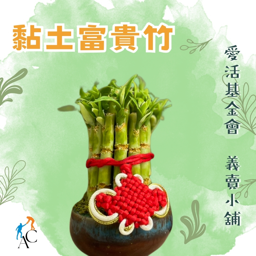 【台灣現貨】H01 | 輕黏土富貴竹| 開運招財 | 11*5.9cm | 商店擺飾、富貴竹、吉祥植物