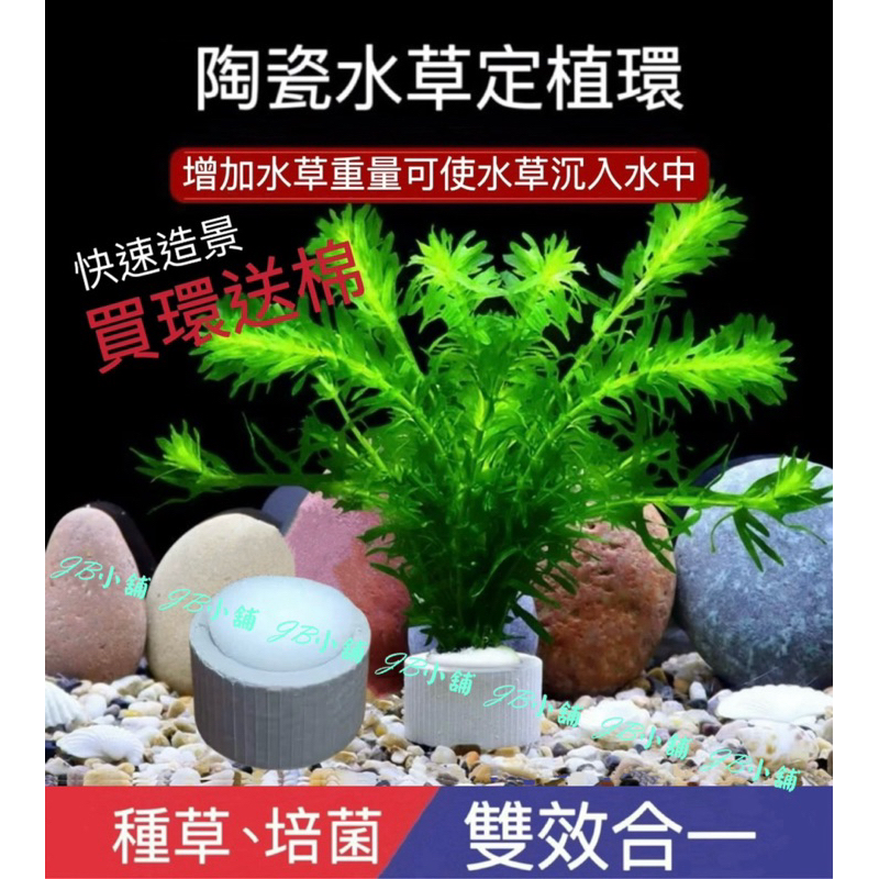 水草 買定植環 送定植棉 陶瓷環 水草固定 鱼缸沉環 重力環 定植籃 快速造景 培菌濾材