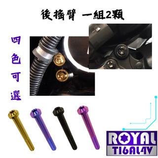【瘋螺絲】TMAX 560 專區 ★ 後搖臂 原廠 螺絲組 ★ 64正鈦/ 鈦合金螺絲 ★ 出貨附發票 ★ 四色可選