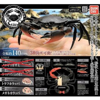 全新現貨 轉蛋 扭蛋 萬代 BANDAI 環保扭蛋 可動螃蟹 饅頭蟹 鋸緣青蟹 花紋愛潔蟹 全4種 拆售