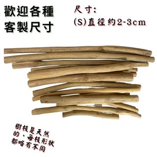 樹枝S 印尼進口剝皮樹枝 掛衣桿客製尺寸天然樹枝 鸚鵡樹枝棲木 DIY 服飾店衣架 布幔飾品裝飾 柚木 板橋實品展示