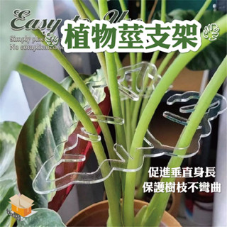 【臺灣現貨】植物莖支架 植物支架 龜背芋架 彩葉芋架 花莖架 隱形支撐架 透明支架 透明固定 攀爬柱 植物固定支架