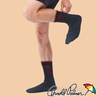 【Arnold Palmer 雨傘】雨傘彩條全方位男運動襪|四季襪|機能|男襪|長襪|運動|登山|保暖|潮襪|禦寒|