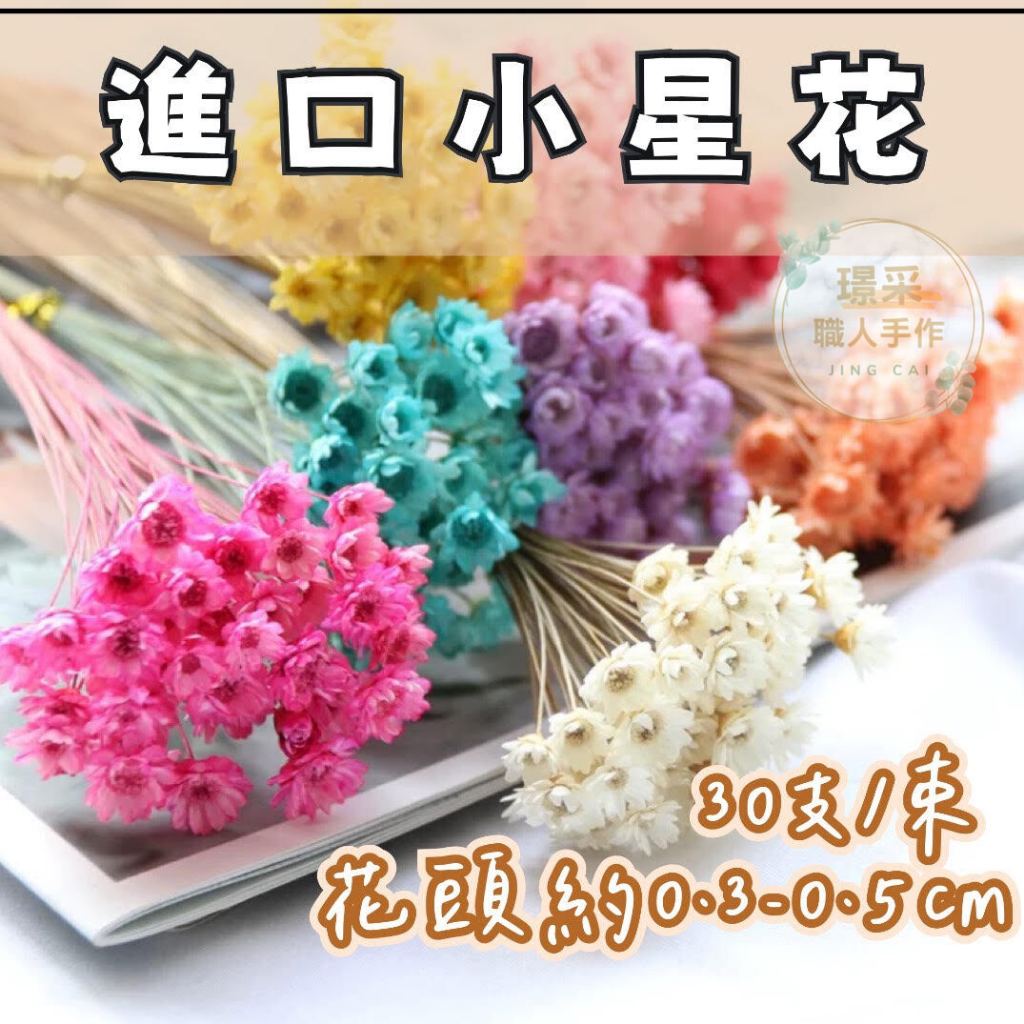 【璟采職人】小星花 乾燥花 不凋花 永生花 居家佈置 手作花材 乾燥花材仿真花 捧花 拍照道具 迷你花材 手帳裝飾