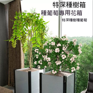 花箱 戶外樓頂種菜專用箱 庭院種植箱 陽臺種菜盆 大號塑膠花盆 家用