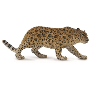COLLECTA動物模型 - 遠東豹