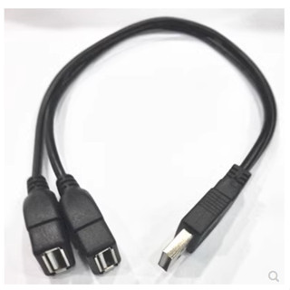 USB 2.0 1分2 一分二 1公分2母 1母分2公 HUB 供電 電腦 傳輸線 延長線 30CM