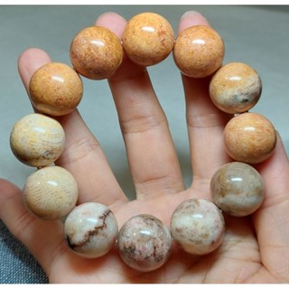 天然珊瑚玉手鏈，手排（8-14mm）吊墬25-35mm