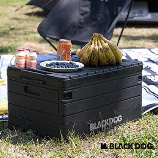 折疊收納箱 BLACKDOG 黑狗 PP折疊收納箱 60L 戶外 收納箱 置物箱 摺疊裝備箱 露營收納箱 黑化 露營美學