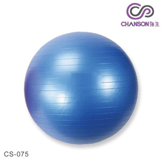 【強生】瑜珈抗力球(直徑65cm) Body ball 防爆裂瑜珈球 抗力球 健身球 復健球 孕婦瑜珈