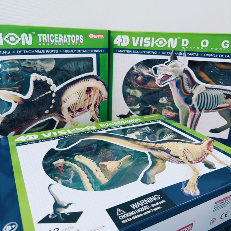 4D master 4D human 人體模型 組合模型 頭骨組合 眼鏡組合 動物模型 恐龍 長頸龍 狼犬 三角龍
