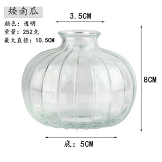 C款透明 臺灣現貨可立即發貨【新款上市】透明花瓶 花器花瓶 風信子 鐵塔 玻璃 花器 花盆 水培容器 插花 乾花 空瓶