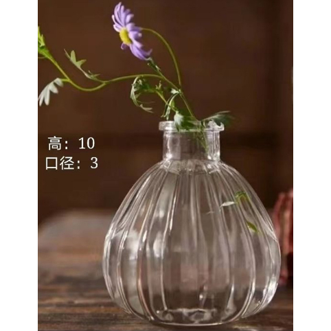 南瓜款 台灣現貨台灣現貨 造型透明 玻璃瓶 花瓶 風信子 鐵塔 玻璃 花器 歐式透明玻璃花瓶鮮花 玻璃 花器 花盆 水培