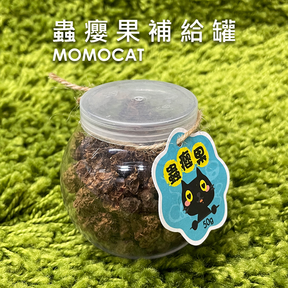 現貨【蟲癭果補給罐】木天蓼果實貓咪興奮劑貓大麻貓草貓的萬應藥蟲嬰果蟲影果果實大顆粒玩具救星【MOMOCAT摸摸貓】E77